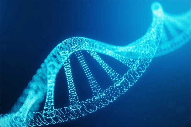 北京神州国天科学技术以顶尖智库，赋能生命健康创新探索